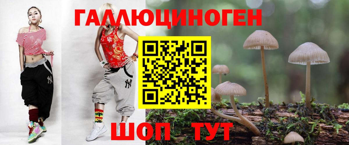 Нерюнгри  Галлюциногенные грибы GOLDEN TEACHER  Псилоцибиновые грибы Magic Shrooms  Вход с VPN 